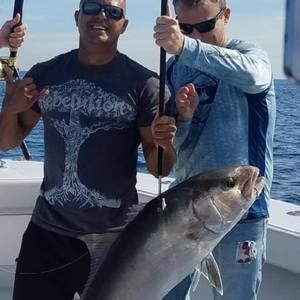 Meet your Posher, Billy